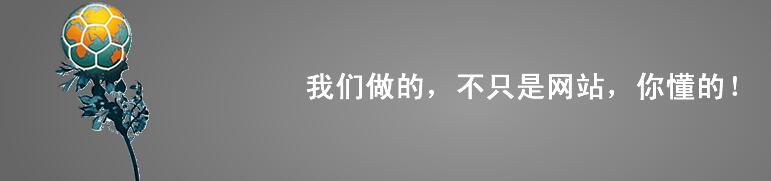 我們做的不只是網(wǎng)站，你懂得